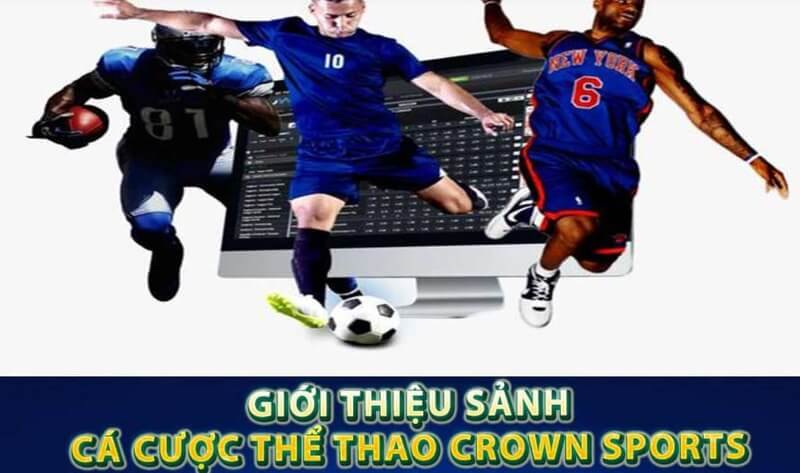Một Số Thông Tin Cơ Bản Về Sảnh Game Crown Sports Tại TYPHU88